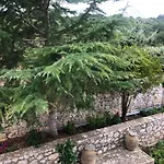 Domus * Katsaráta