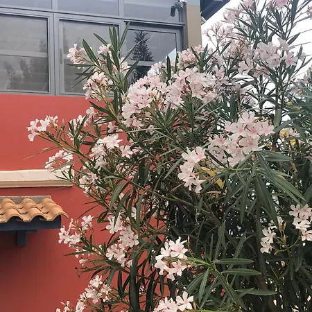 Domus Apartman Kacaráta