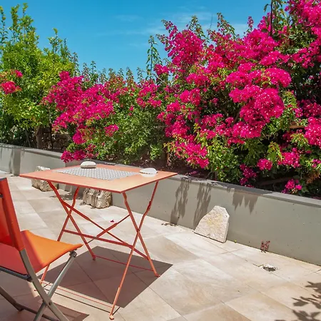 Domus Apartament