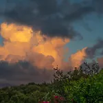 Domus דירה
